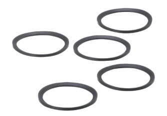 E30497 Gasket SEAL RING FKM G1