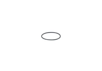 E30512 O-ring O-RG 16,40x1,00/FFKM