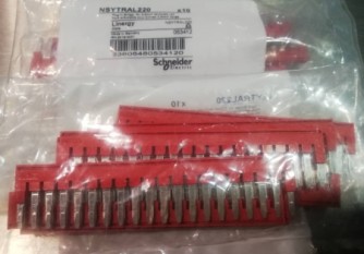 SCHNEIDER NSYTRAL220 Malaysia Thailand Singapore Indonesia Philippines Vietnam Europe