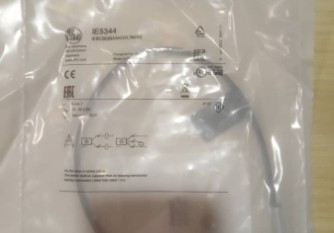 IFM IE5344 Malaysia Thailand Singapore Indonesia Philippines Vietnam Europe  USA